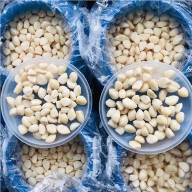 Bawang putih segar dalam air garam