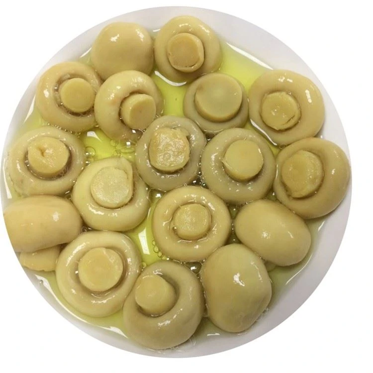 Whole button white mushroom in brine in drums
