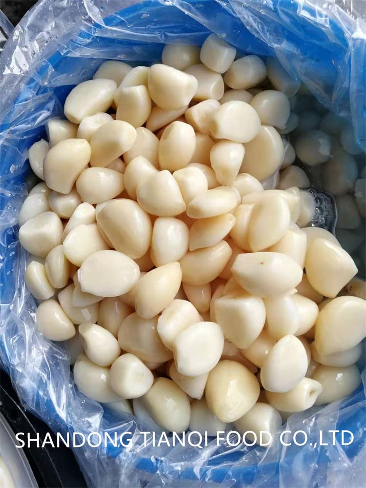 High quality M garlic in brine