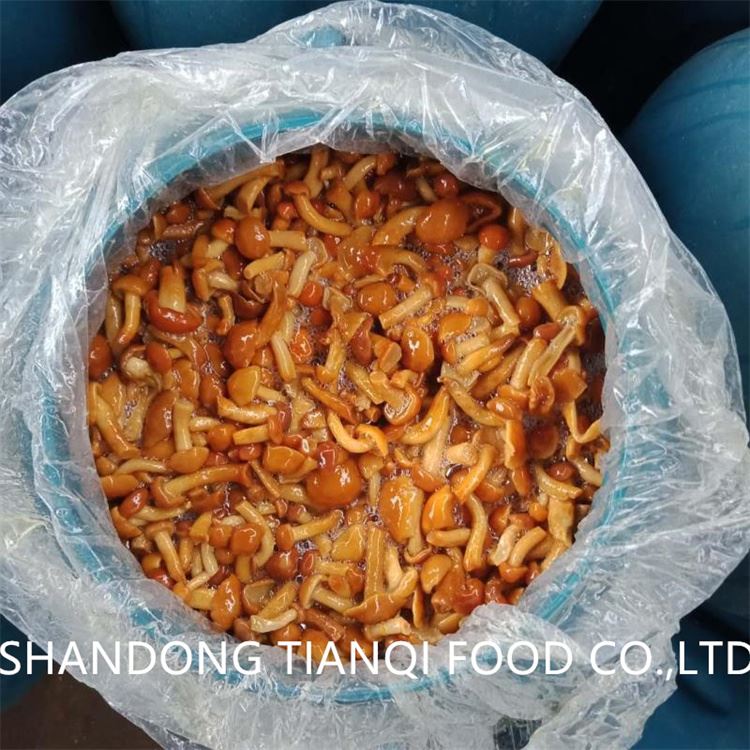 FAQ nameko mushroom in brine in drums