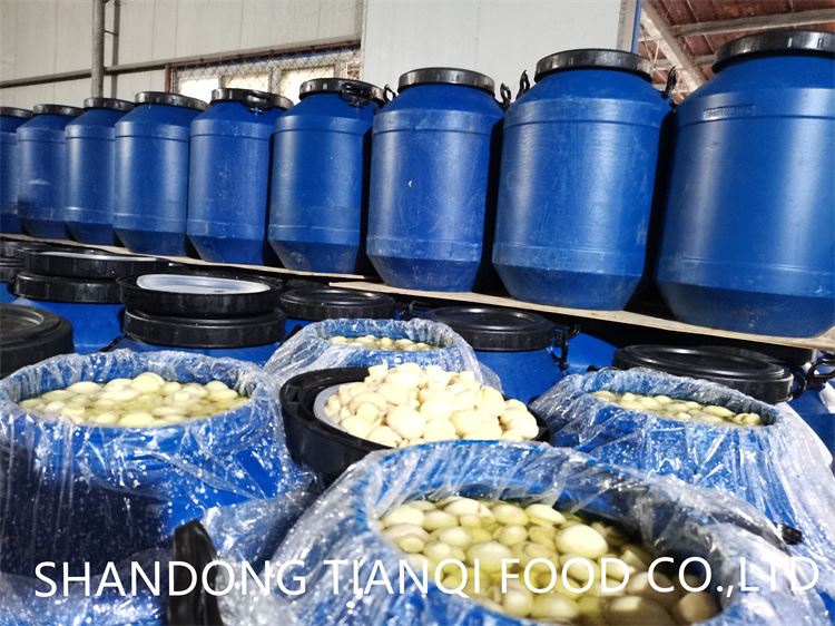 Top quality drum packing white mushroom in brine