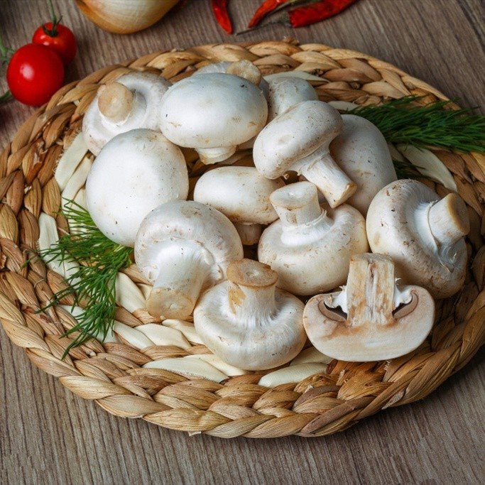 Preserved fresh white champignon in drums