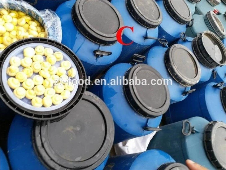 Whole fresh white mushroom in brine in drums
