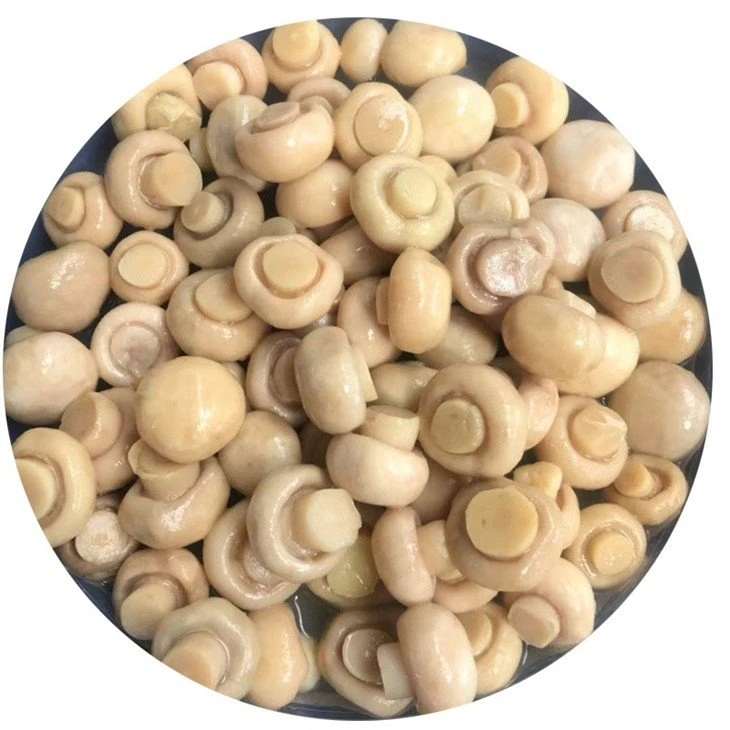 Preserved whole white mushroom in brine in drums