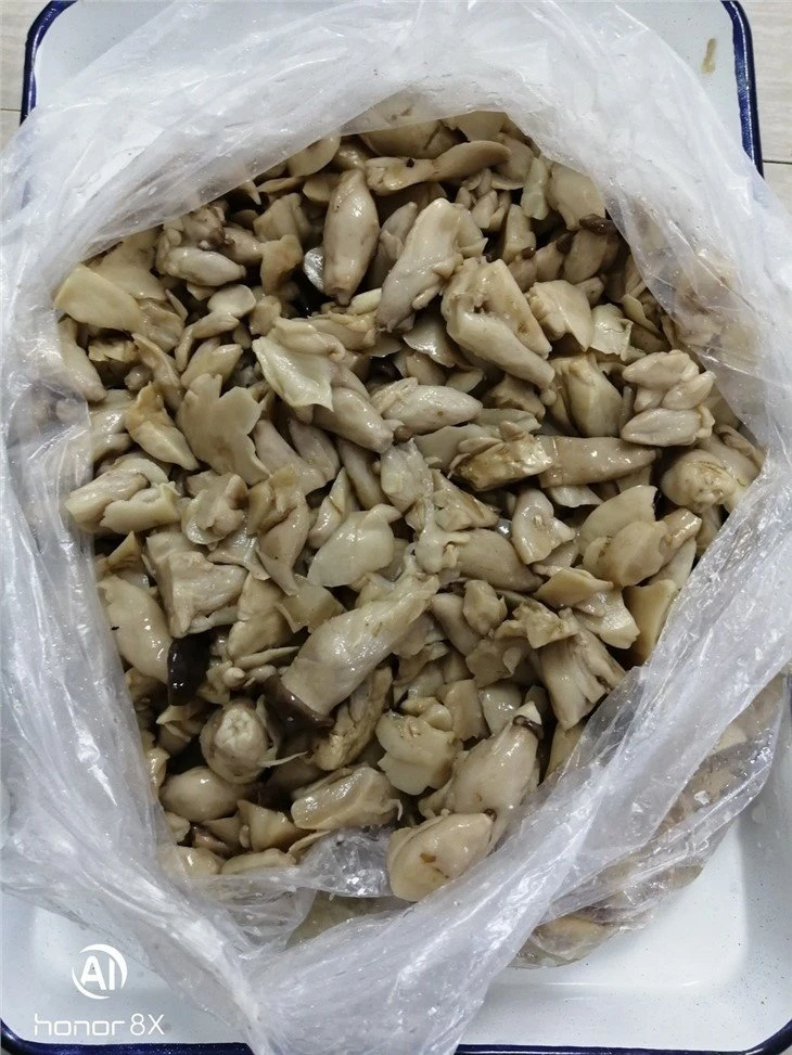 High quality king oyster mushroom in brine in drums