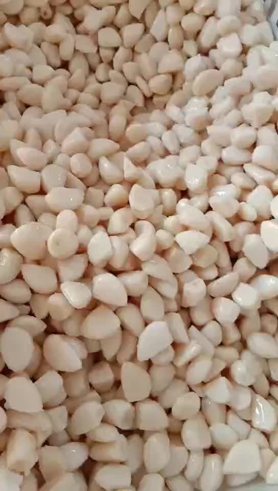 Peeled white garlic in brine in drums