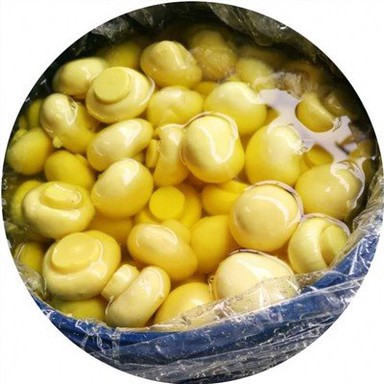 50 kg Cendawan dalam Air Garam