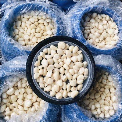 Bawang Putih Kupas Segar dalam Air Garam dalam Tong