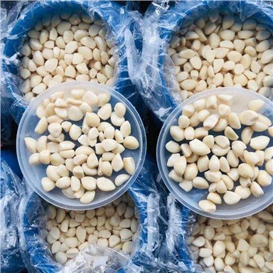 Bawang Putih Awet Masin Dalam Air Masin