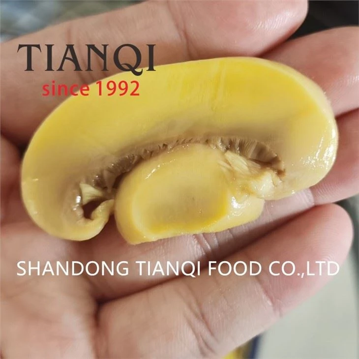 Best sliced champignon in brine in drums