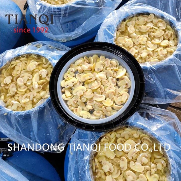 Hot selling white champignon in brine in drums