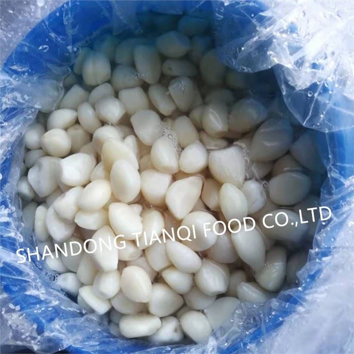 Normal White Garlic Peeled in Brine in Drums