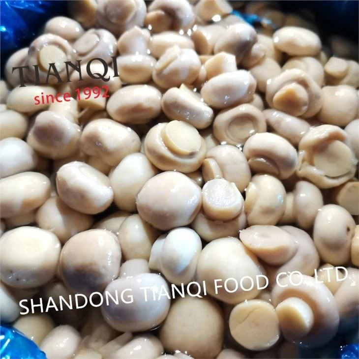 Vinegar mushroom in plastic drums