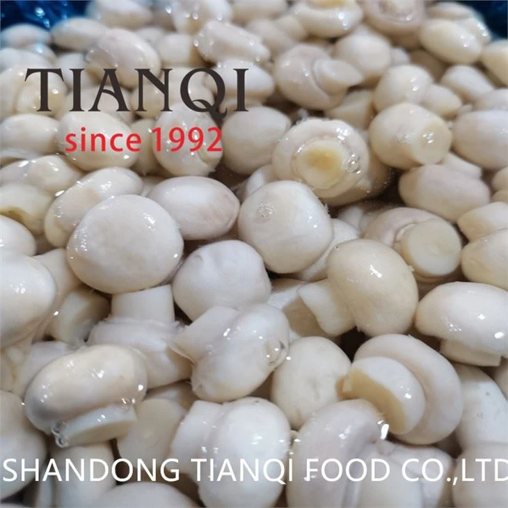 Cendawan Seluruh Dengan Harga Kilang di China