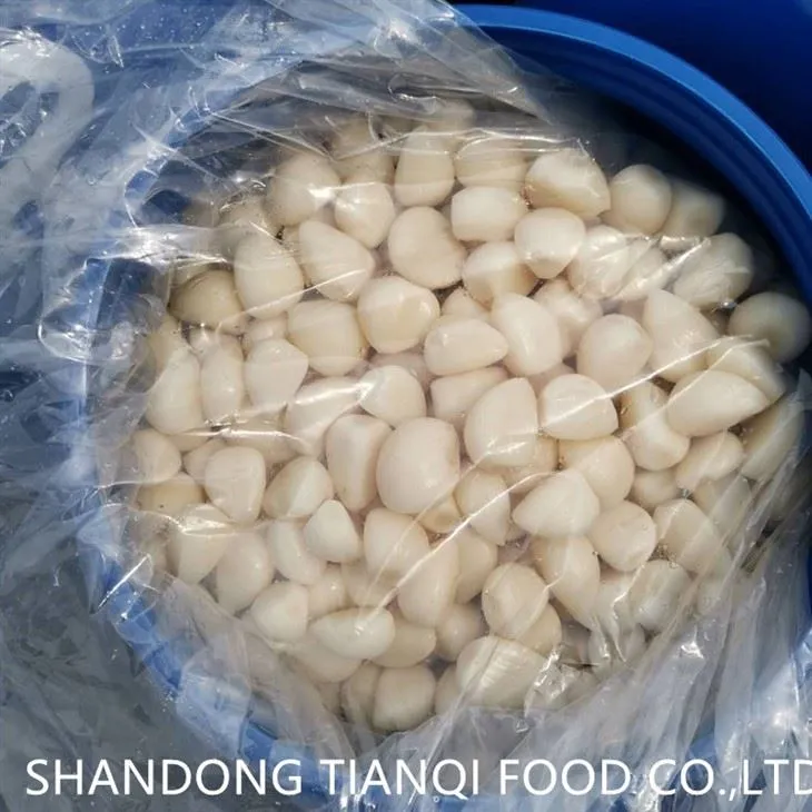 Air Garam Ulas Bawang Putih Dalam Drum