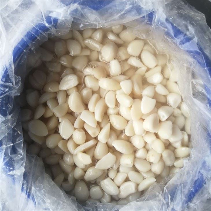 Peeled White Garlic Cloves in Salted Water in Drums