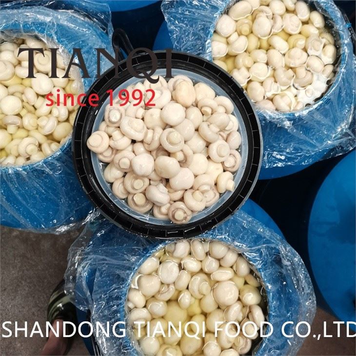 Salted Champignon Mushroom Wholes in Drum