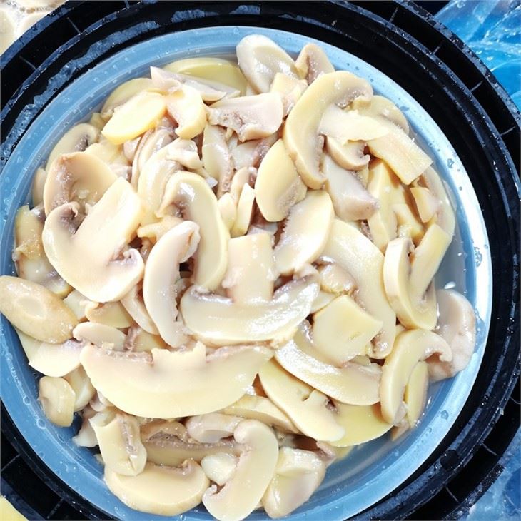 Brined sliced white mushroom in plastic drums