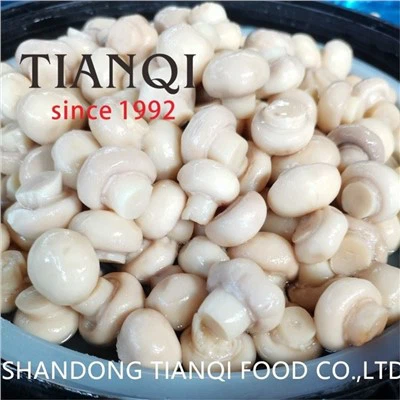 Cendawan Hirisan Perasa Harga Murah dalam Air Garam Untuk Pizza