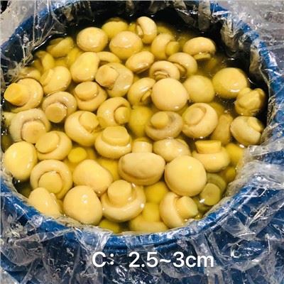 Champignon Mushroom Whole in Brine in Plastic Drams