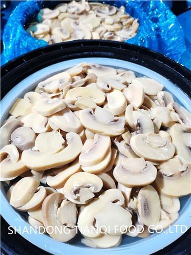 Cendawan dalam Air Garam Harga Cendawan Dalam Tin dalam Drum 50kg