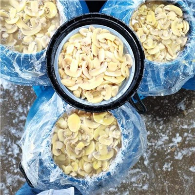 Cendawan Tanaman Baharu dalam Air Garam dalam Tong Plastik