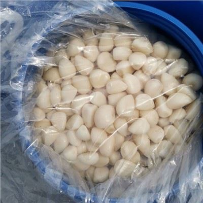 Bawang Putih Tanaman Baru yang diawet dalam Air Garam