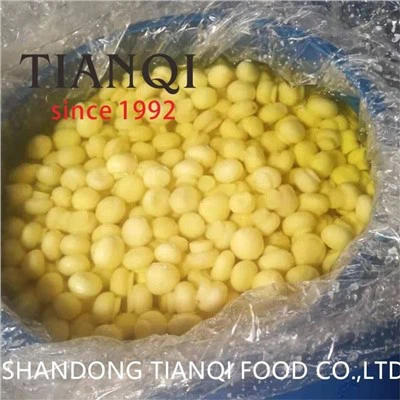 Cendawan Seluruh dalam SO2 dalam Drum Plastik