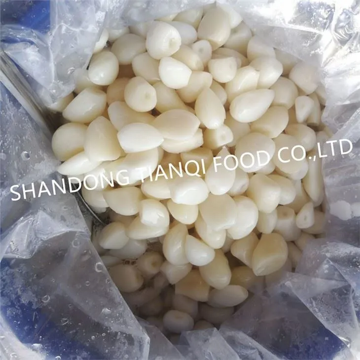 Normal white garlic in salted water in drums